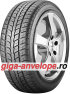 Toyo Roadpro R 610