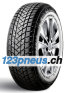Champiro Winterpro 2
