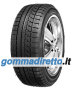 Winterpro SW61
