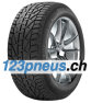 SUV Winter