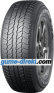 Geolandar A/T (G31C)