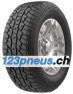 TerraXplorer C2 A/T